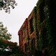 Study Music (Chill)