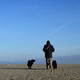 Der Juist-Inselpodcast - Folge 350