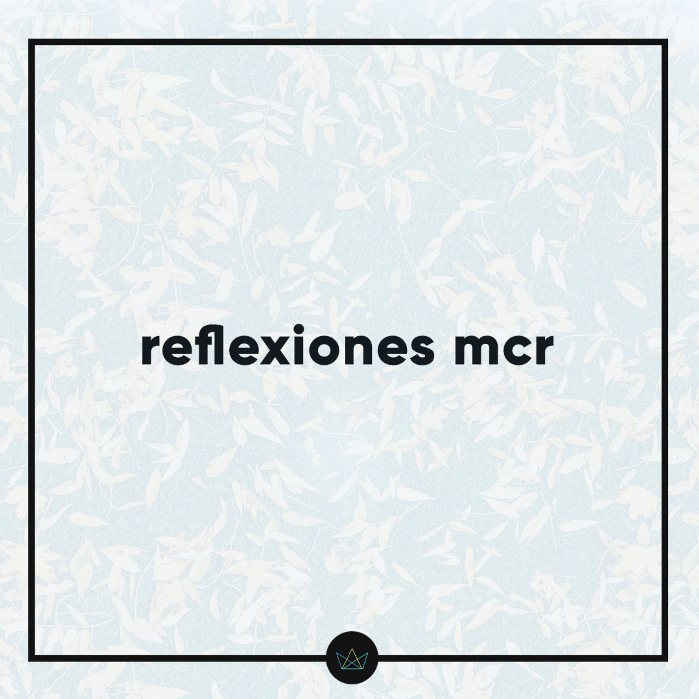 Reflexiones MCR