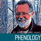 Phenology Report: March 31, 2020
