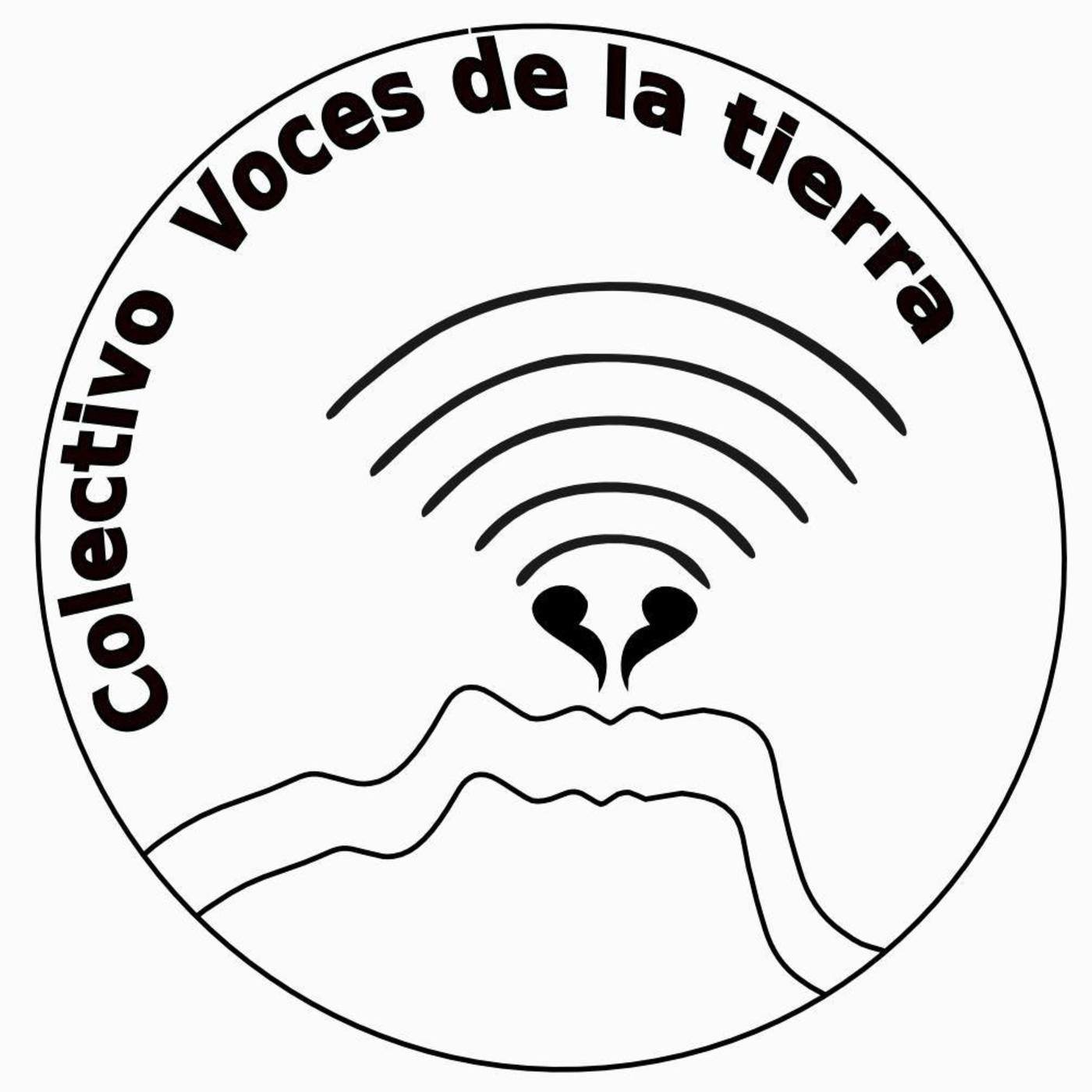 la telaraña radiofónica
