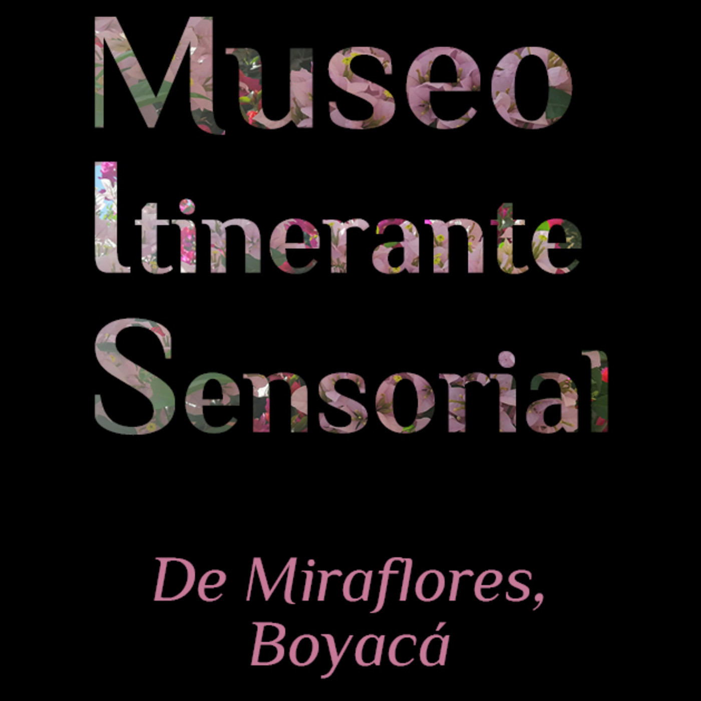 Sofia Valentina Rojas Cárdenas