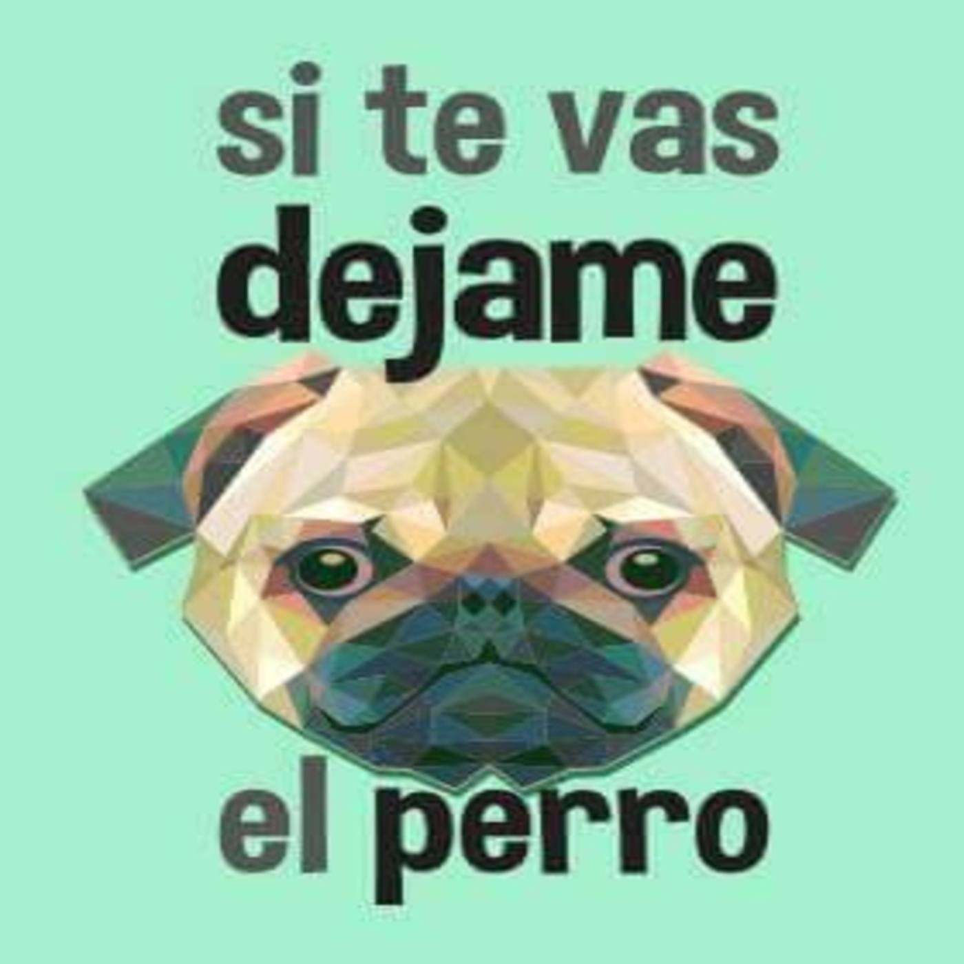 SI TE VAS DEJAME EL PERRO