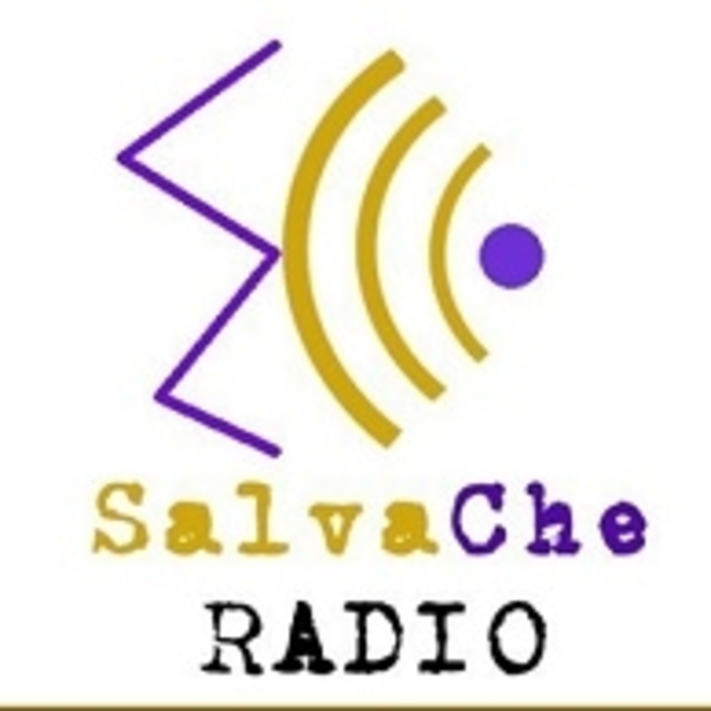 salvache radio