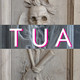 TUA 131: Trunk or Treat