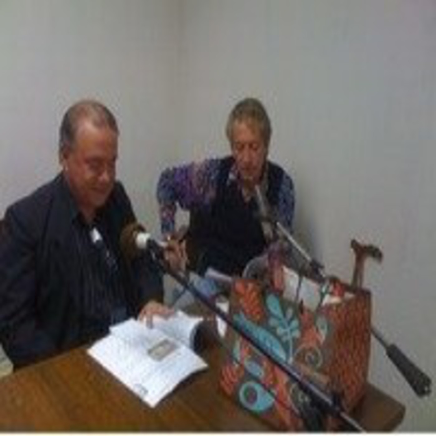 Podcast RADIO REVISTA PRELUDIO CULTURAL