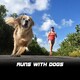 1. Heat Running