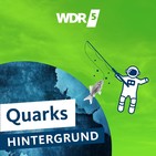 Warum werfen wir Kippen oder anderen Müll achtlos weg?