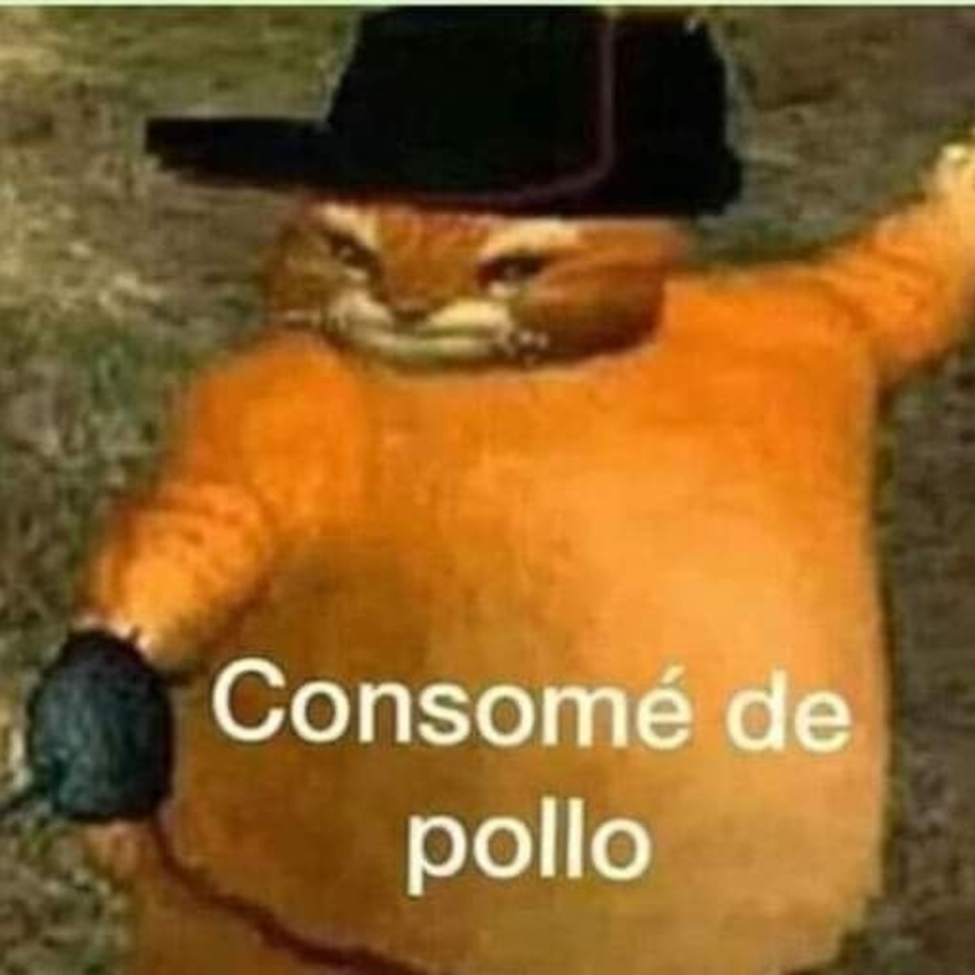 ConsomédePollo