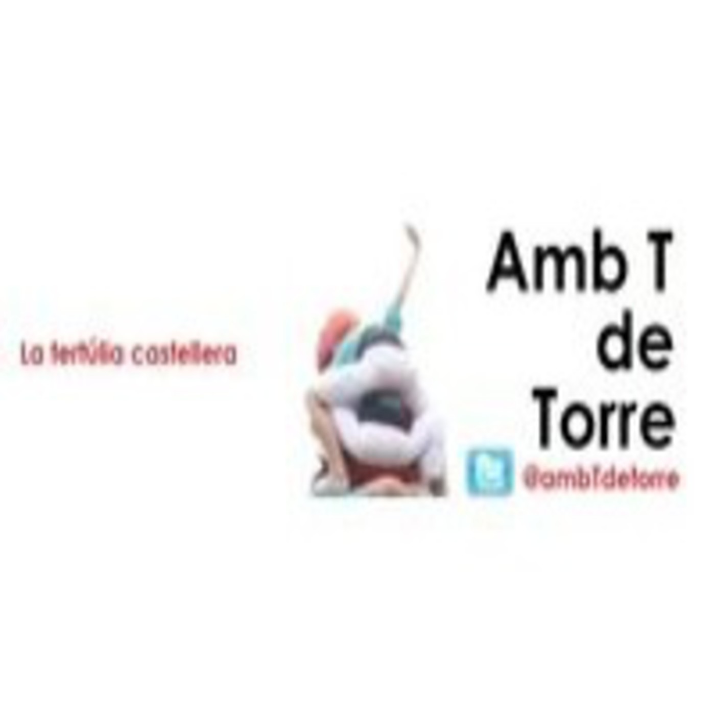 AmbTdeTorre