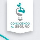 Conociendo al Seguro - Educación Fianciera