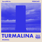 Turmalina — Ep. 13 "Seriesly?" | Selección de Licho Guzmán