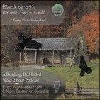 Escaping A House Of Stairs - Blackbird9