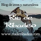 Ría de Ribadeo