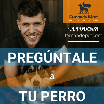 Episodio 50 - Potencia la mente de tu perro