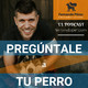 Episodio 178 - Estrés en tu perro