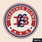 Bleacher Blums #29