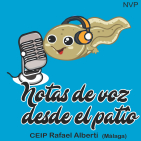 Notas de voz desde el patio