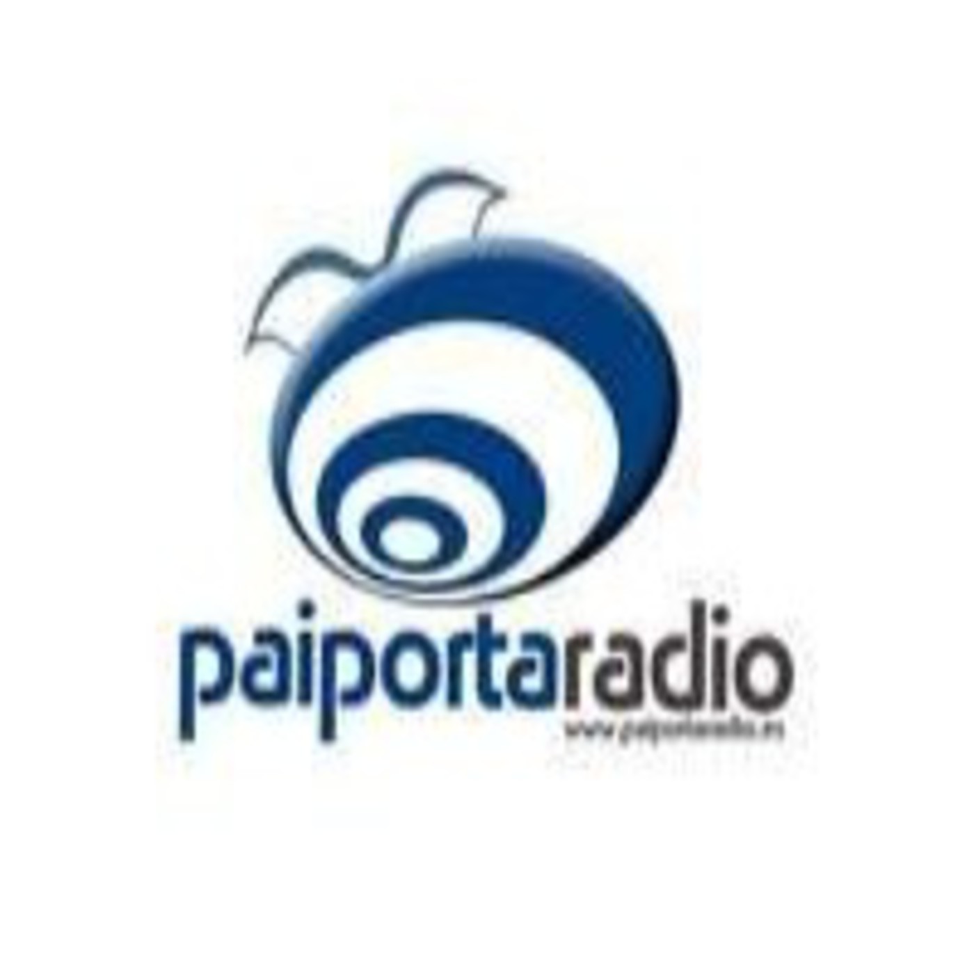 FESTES PAIPORTA 2011