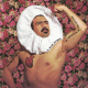 embed image
