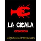Alça Manela: PROGRAMA 2