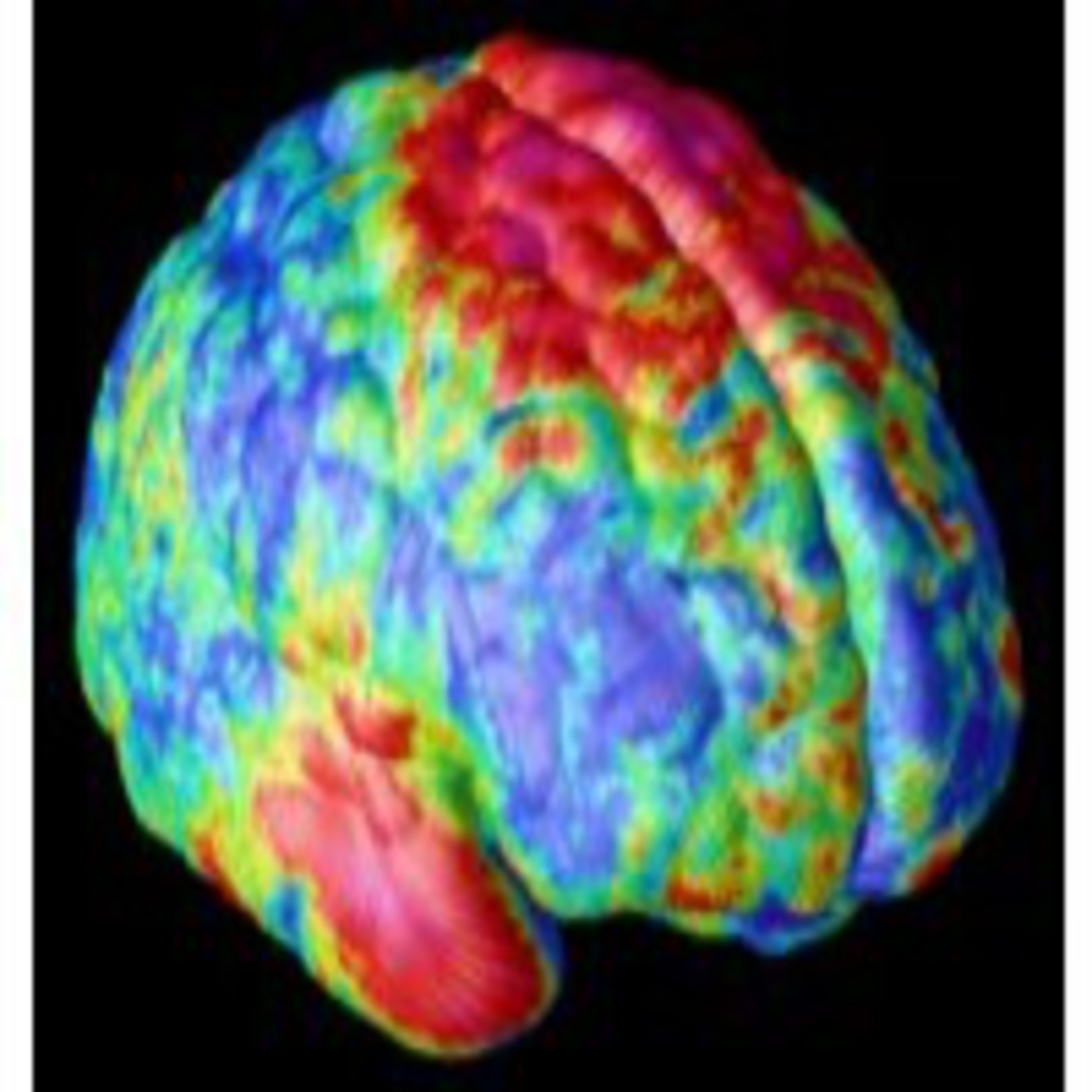 Cerebro por Francisco Mora