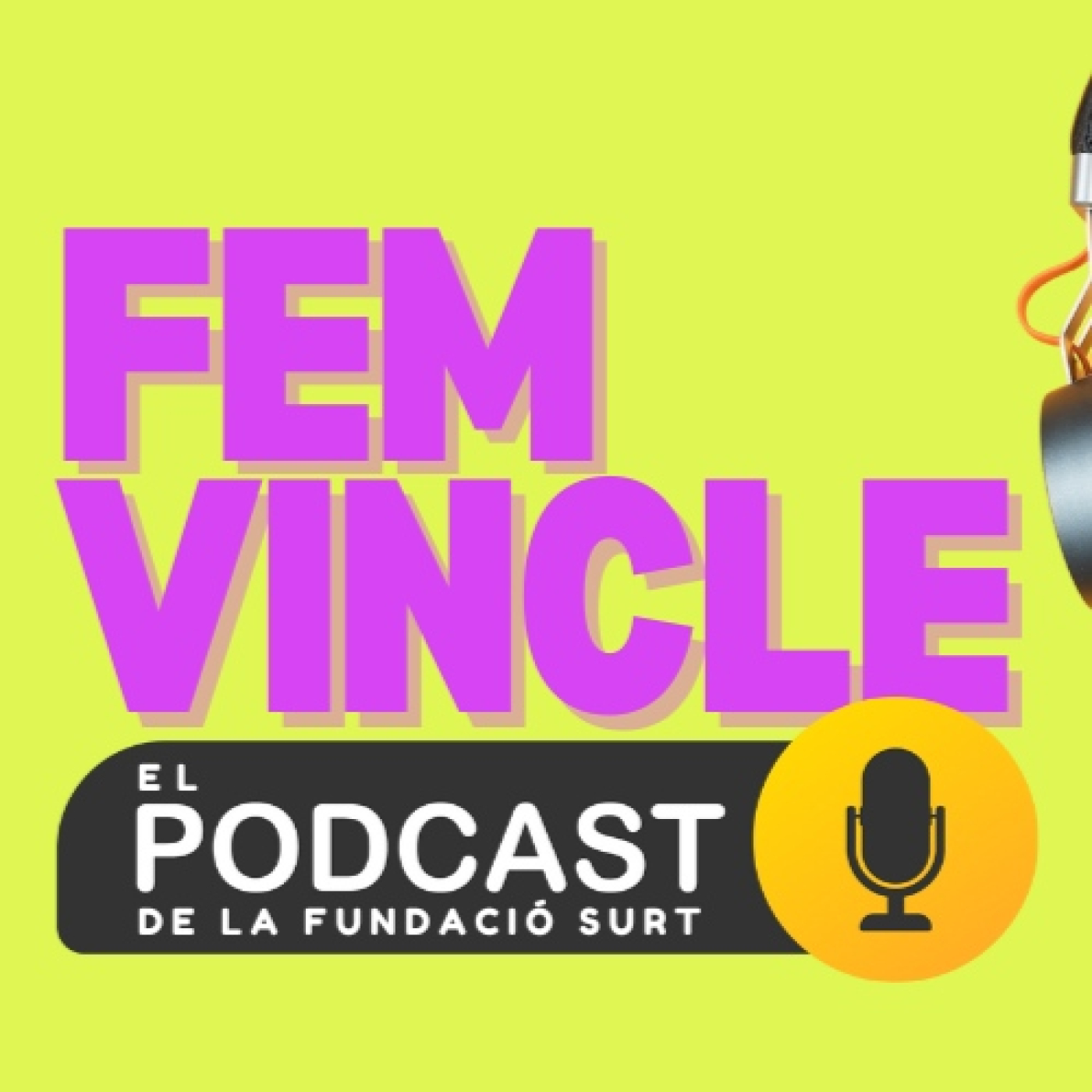 Fem vincle