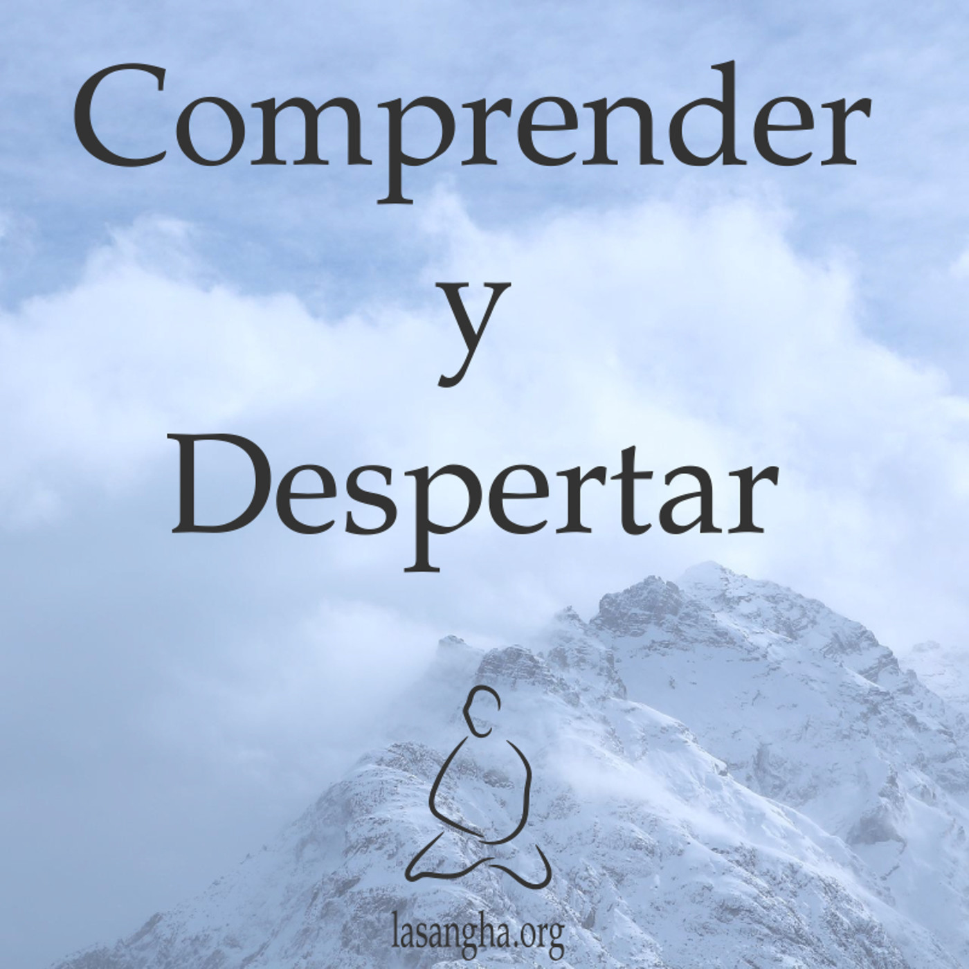 Comprender y Despertar
