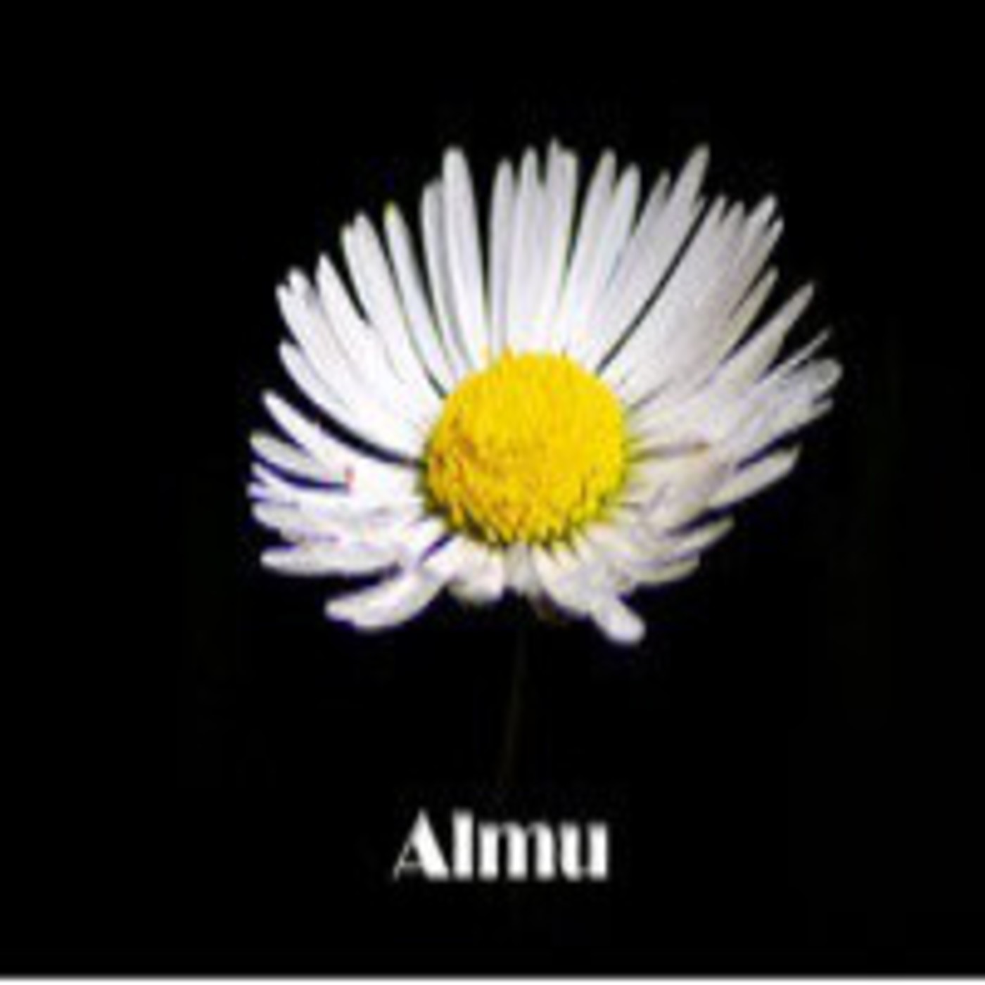 Unas cuantas tomas falsas