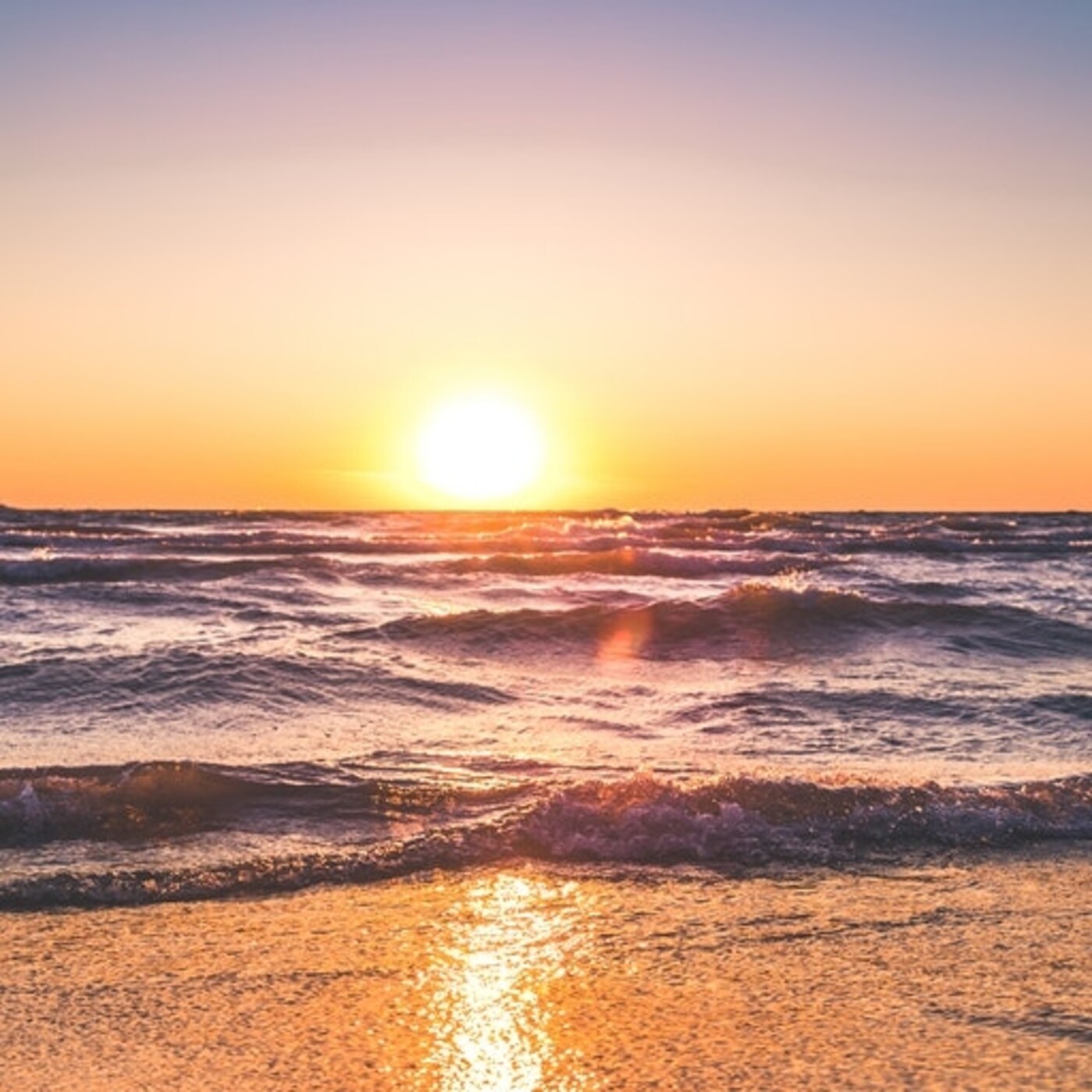 Presentación de Nuevas Dimensiones