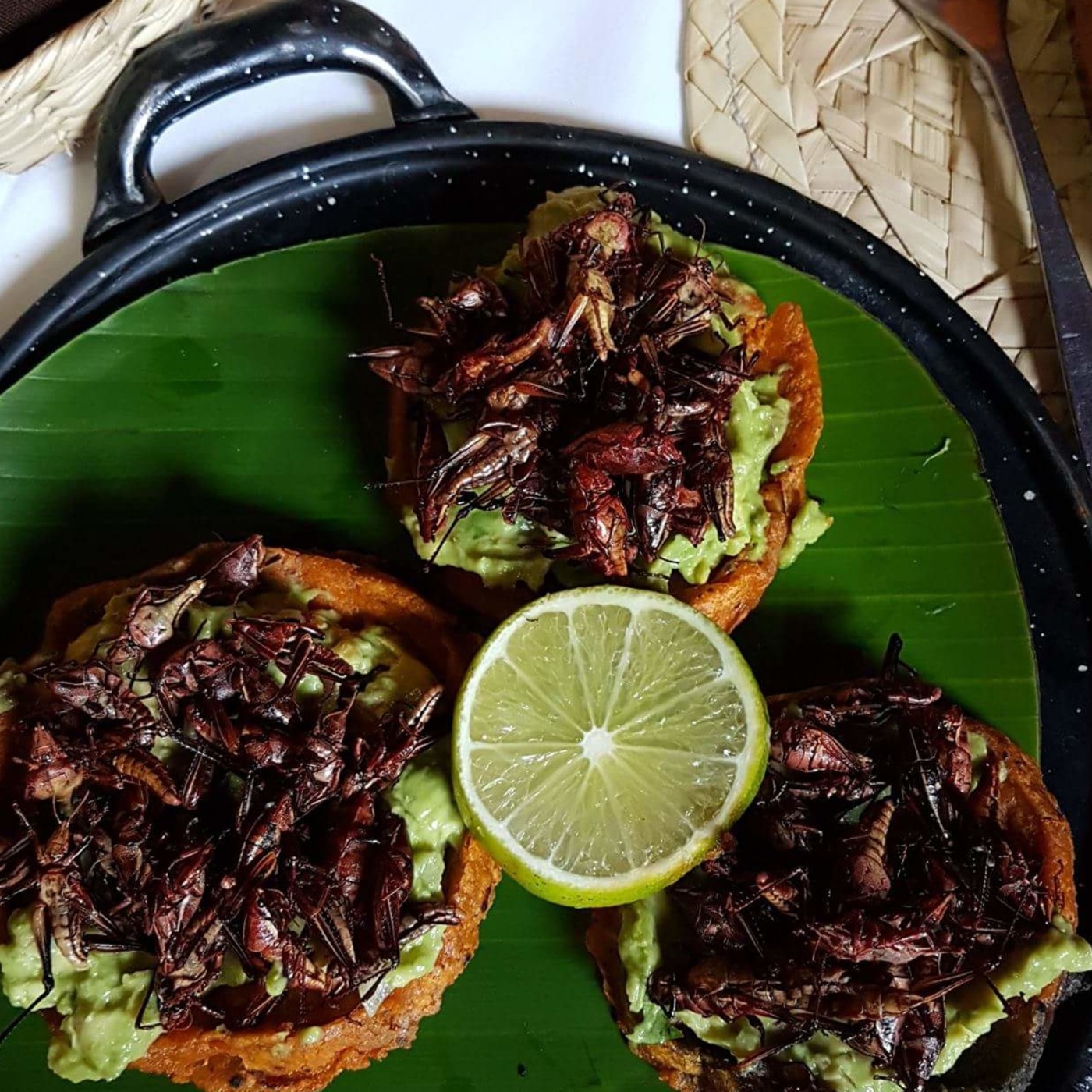 Destruyendo Mitos Sobre Nutrición