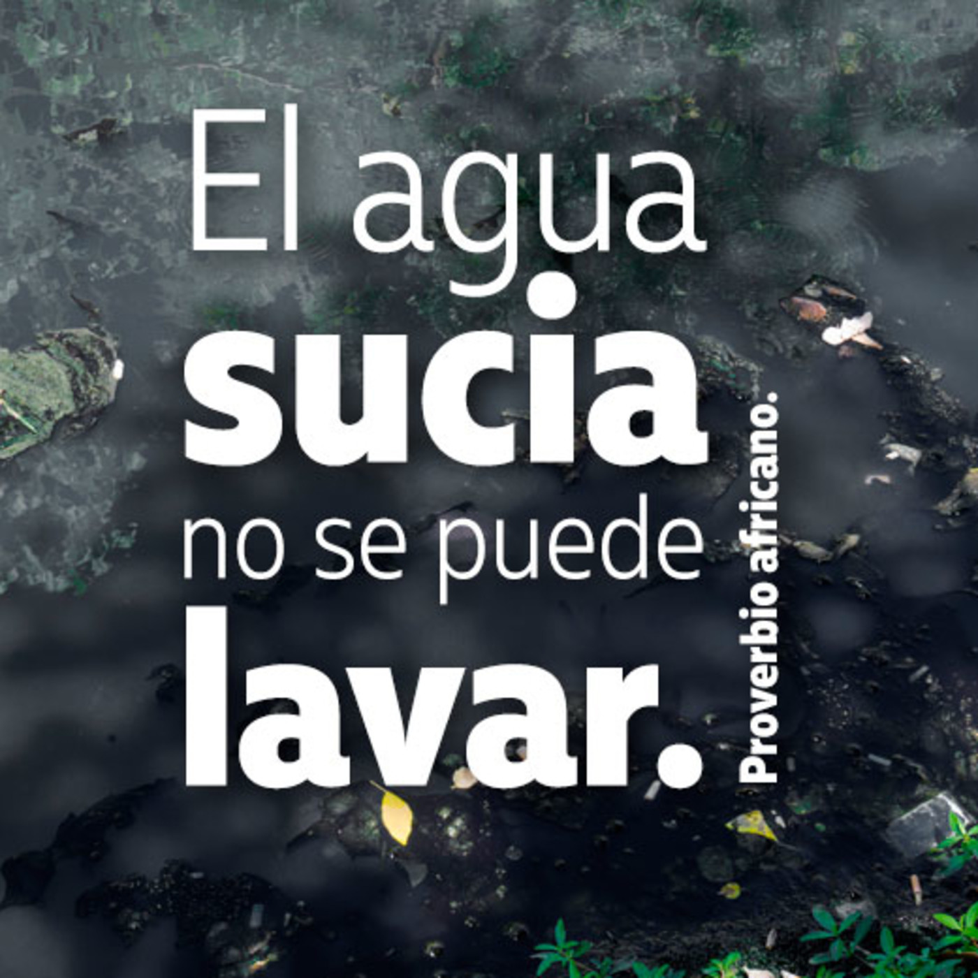 POEMAS AL MEDIO AMBIENTE