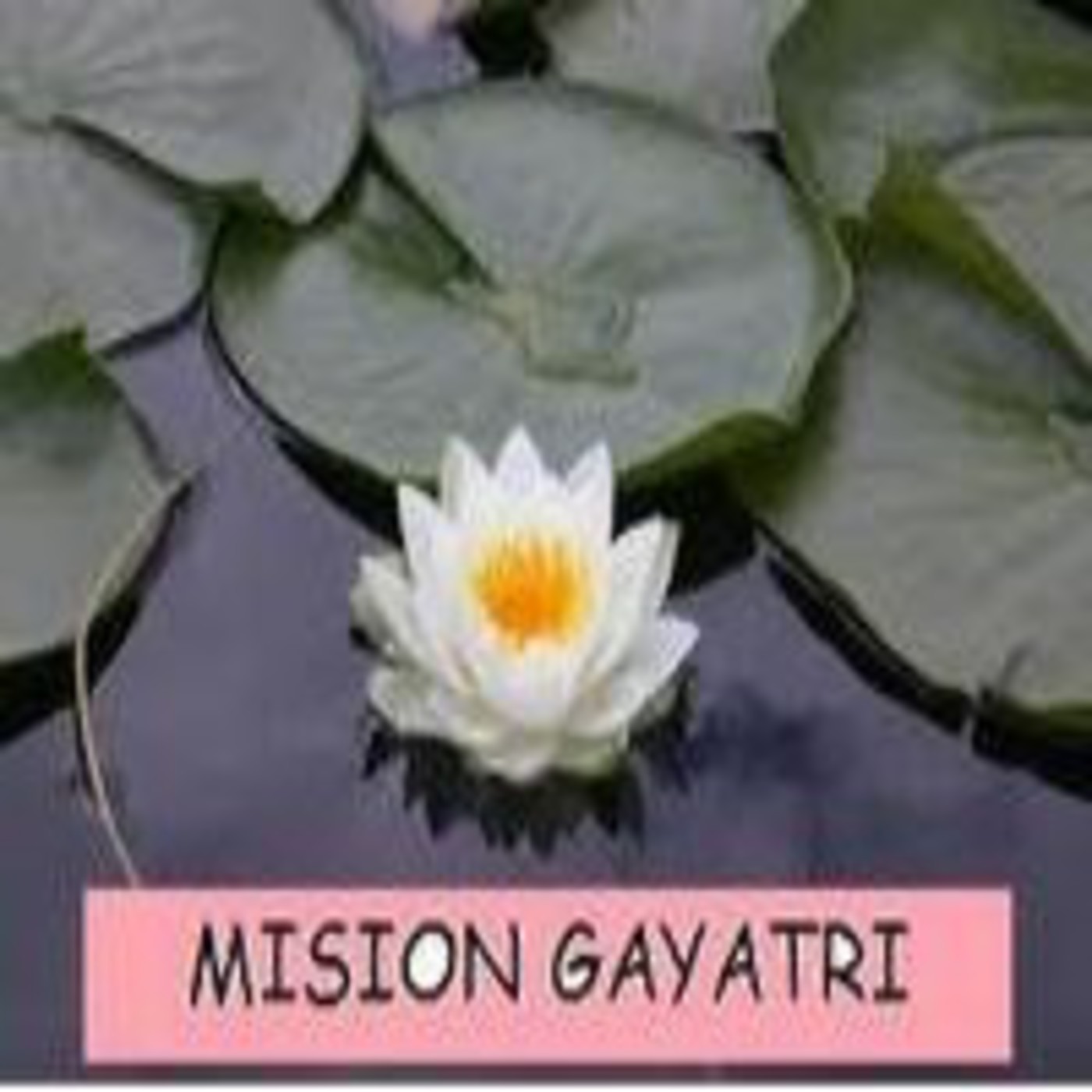 "El Ego" Mision Gayatri 8vo Programa