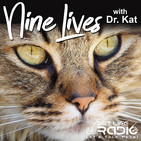 Nine Lives with Dr. Kat - Episode 52 Having a New Baby? Help Your Cat Adjust