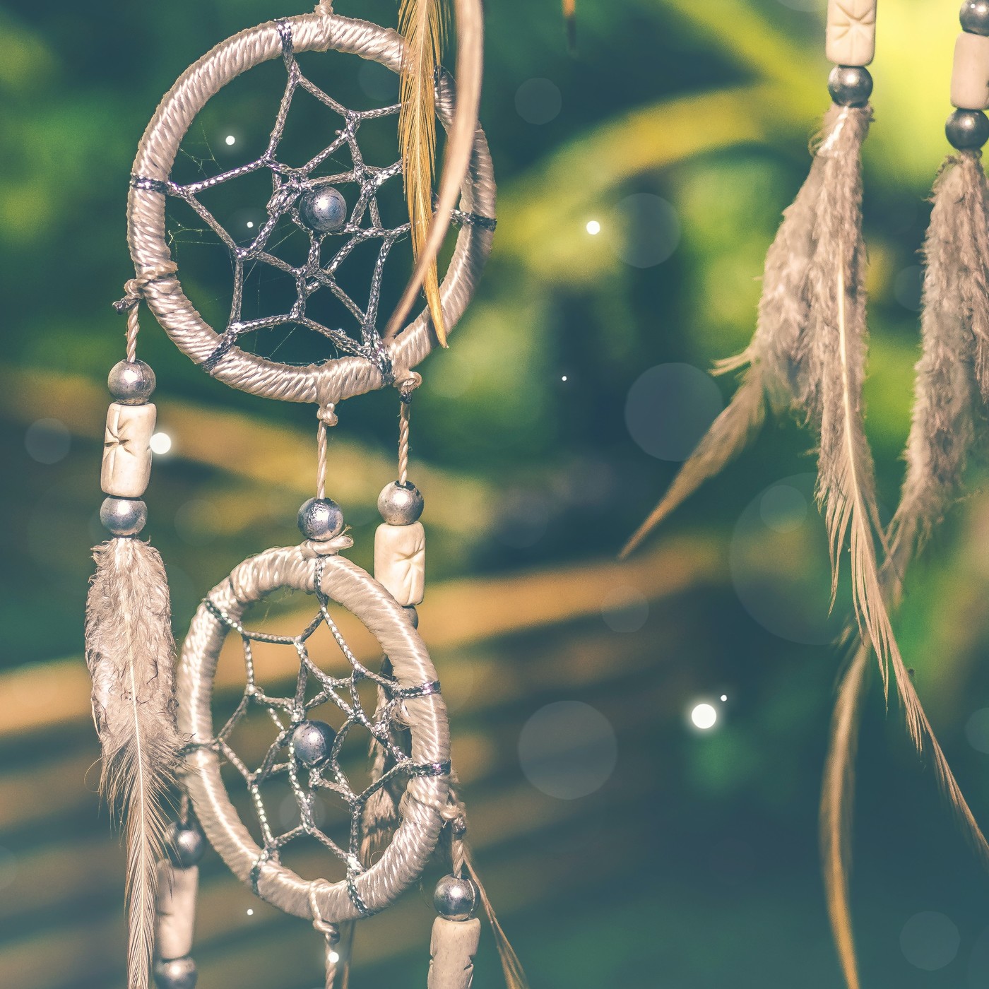 Érase una vez- Cuentos de naturaleza