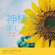 デボーションシェア6デイチャレン
