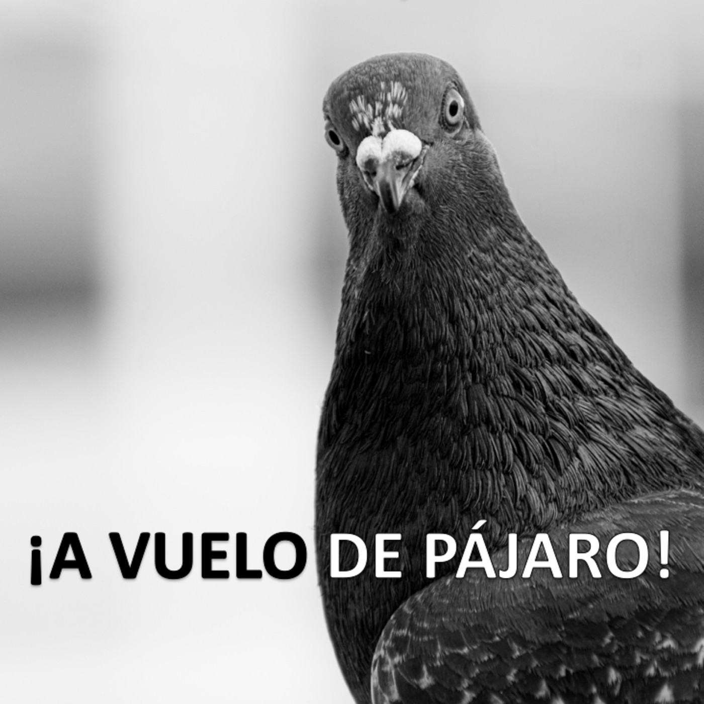 ¡A vuelo de pájaro! con Cristian Velandia