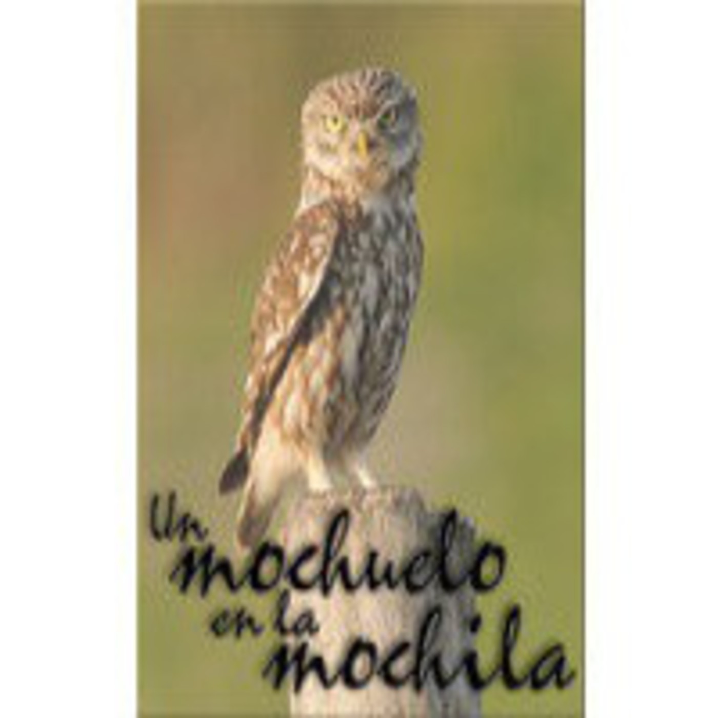 Un mochuelo en la mochila