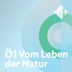 Vom Leben der Natur (18.02.2019)