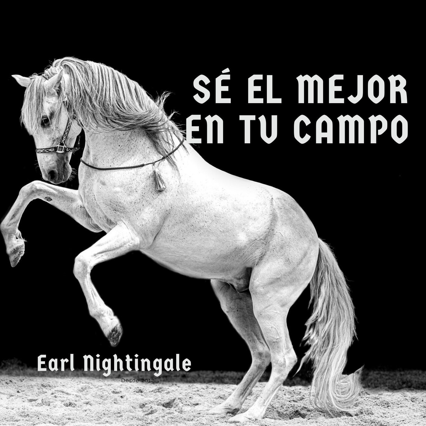 SE EL MEJOR EN TU CAMPO