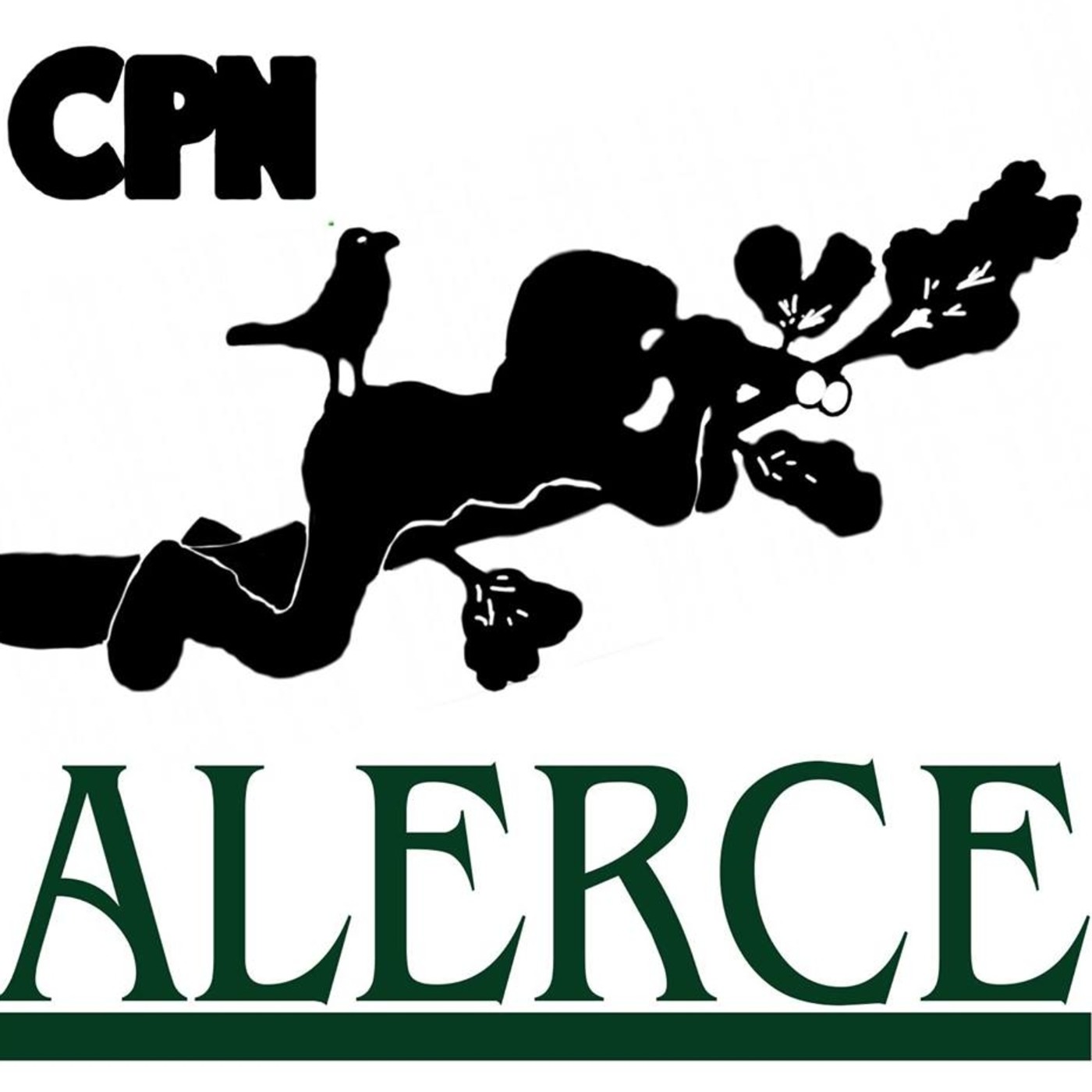 Comunicados CPN Alerce