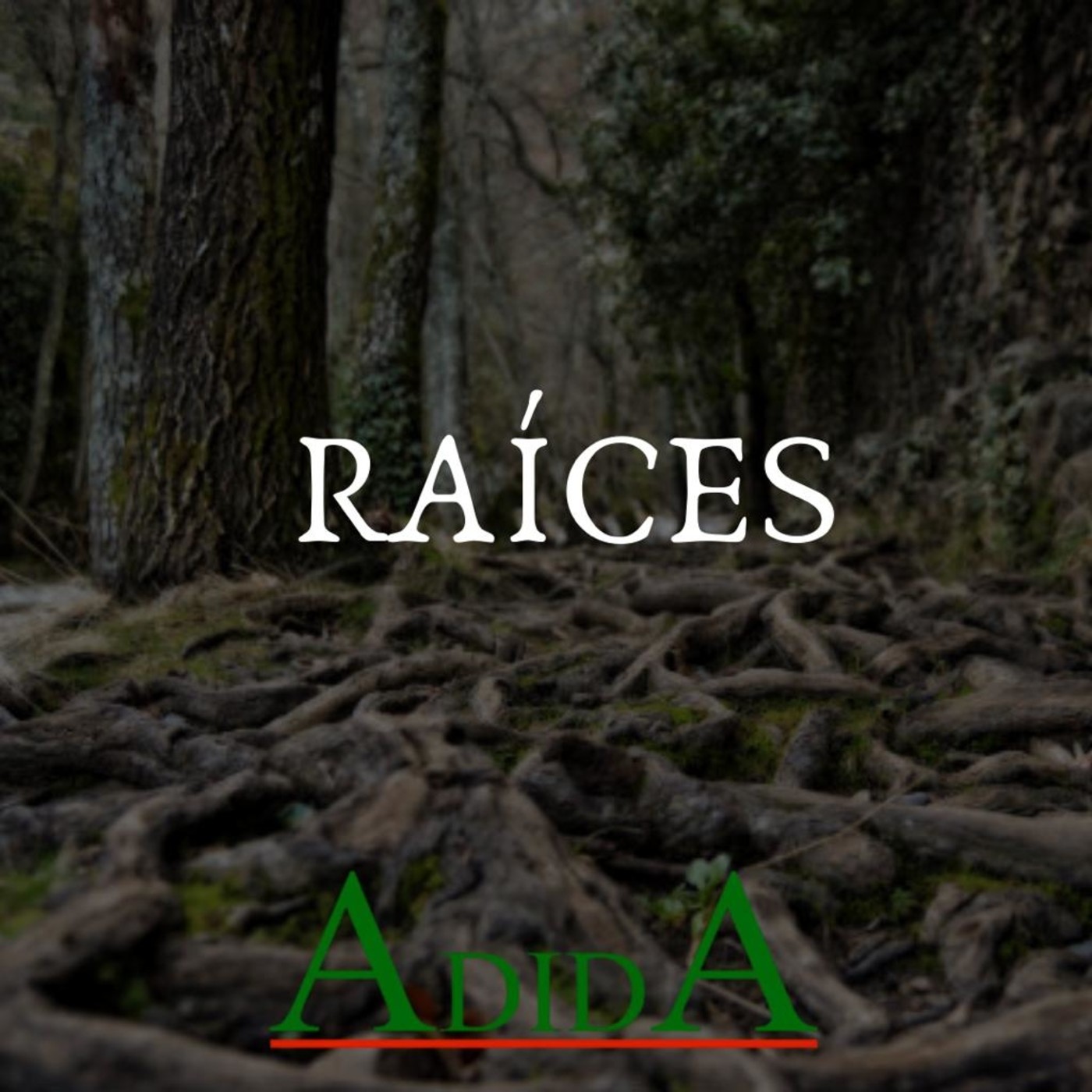 RAÍCES