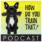 Fitness and exercises for dogs and puppies.