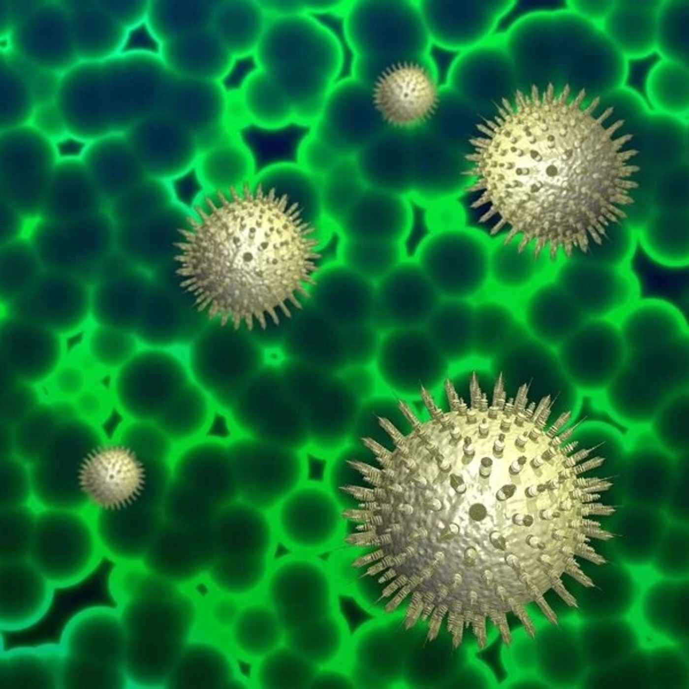 Especials coronavirus
