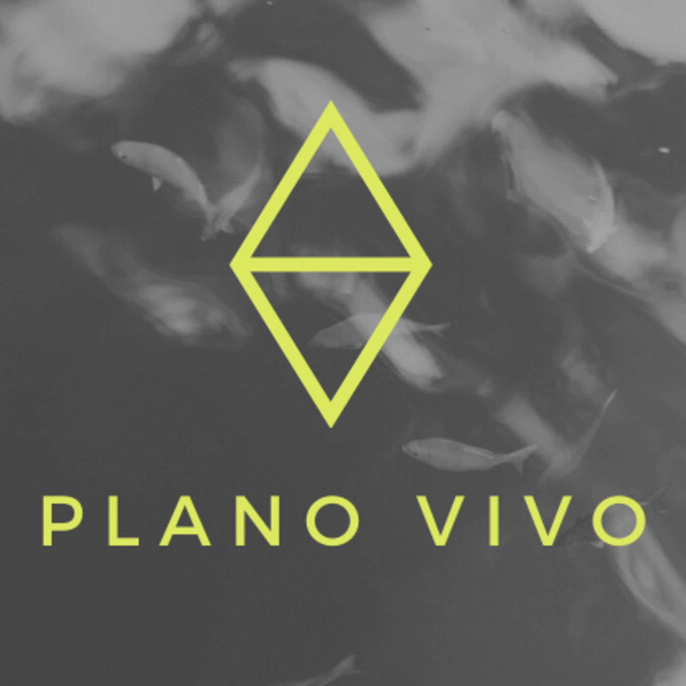 PLANO VIVO
