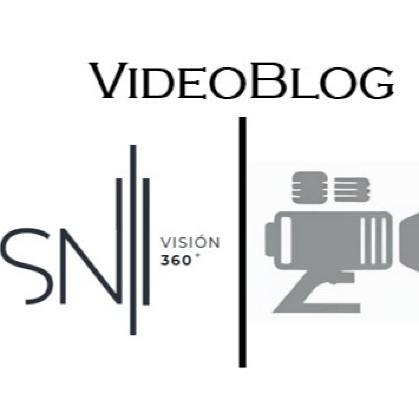 VBSN: Shorts