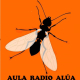 embed image