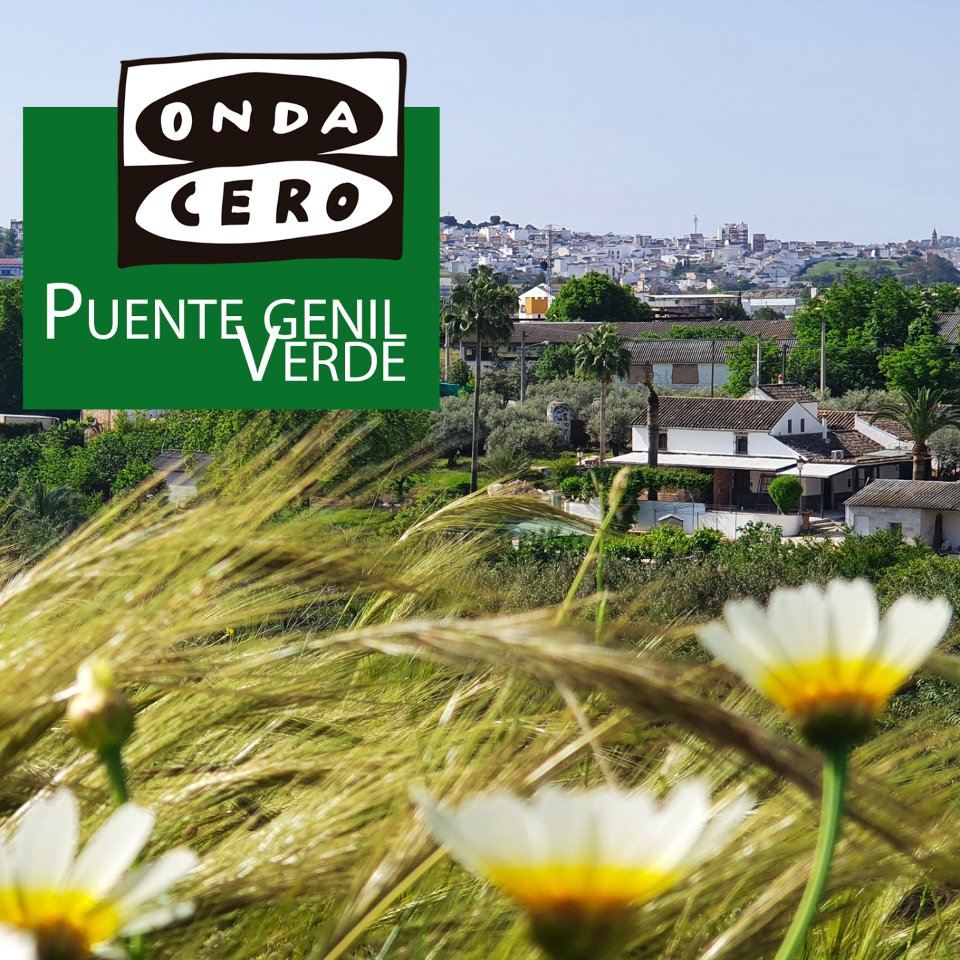 Puente Genil verde