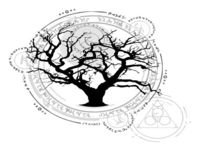 The Wikipedia Rabbit Hole