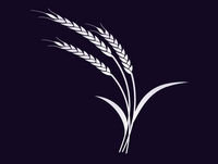 The Disciple And Prayer (Part Two)